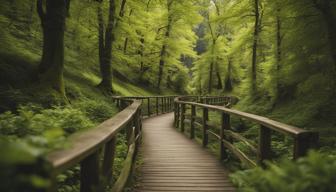 Die besten Wanderwege im Eichsfeld